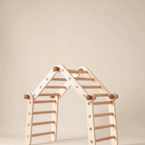 Bloon Pikler MAX (Transformable Pikler Triangle) Jungle Gym