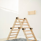 Growing Set | Pikler Jungle Gym