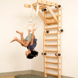 Gymnastic Rings or “Roman” Rings Attachment for Transformable Pikler Triangle