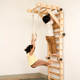 Gymnastic Rings or “Roman” Rings Attachment for Transformable Pikler Triangle