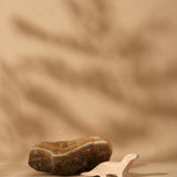 Wooden Otter
