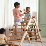 Bloon Pikler MAX (Transformable Pikler Triangle) Jungle Gym