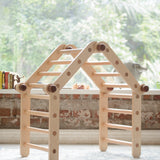Bloon Pikler MAX (Transformable Pikler Triangle) Jungle Gym