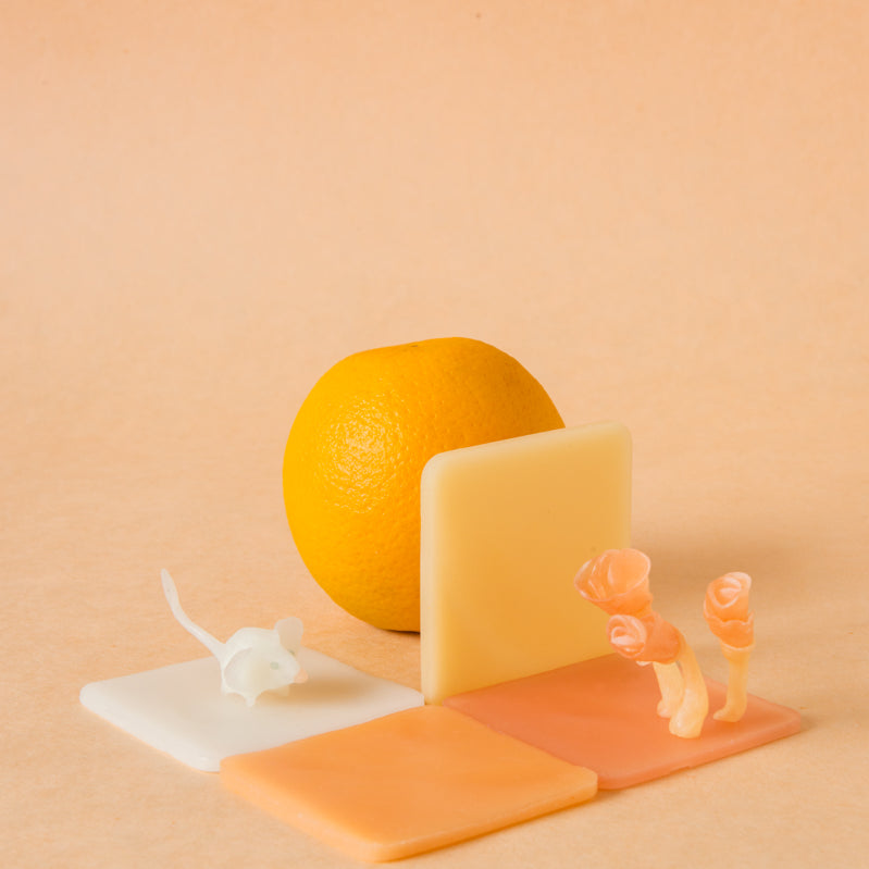 What is Modelling Beeswax?