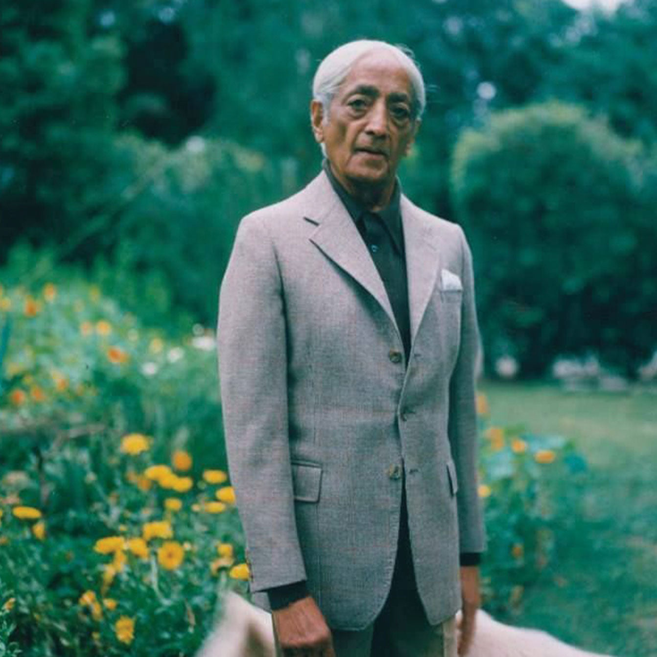 The Krishnamurti Experience