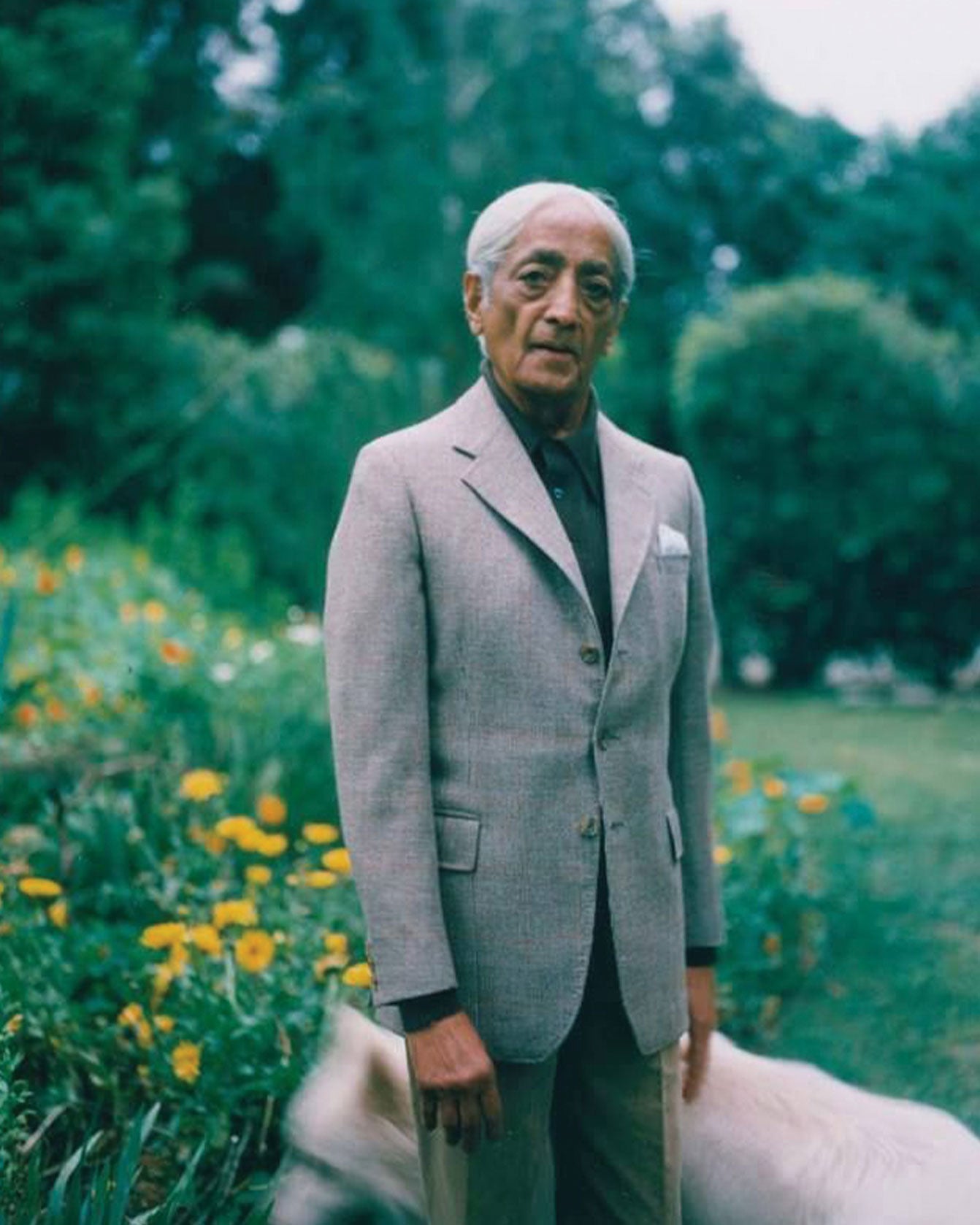 The Krishnamurti Experience