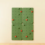 Bloon Rock Climbing Board with Adjustable Rocks