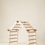 Bloon Pikler MAX (Transformable Pikler Triangle) Jungle Gym