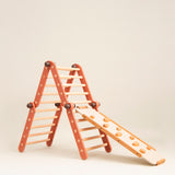 Forever Set | Pikler Jungle Gym