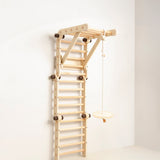 Disc Swing - Ceiling Height
