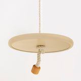 Disc Swing