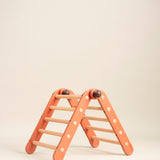 Bloon Pikler MAX (Transformable Pikler Triangle) Jungle Gym - N