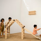 Children playing on the Transformable Pikler jungle gym 