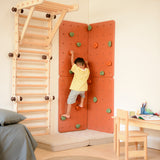 Playroom Set | Pikler Jungle Gym with Rock Climbing Board