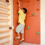 Bloon Rock Climbing Board with Adjustable Rocks
