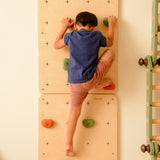 Bloon Rock Climbing Board with Adjustable Rocks