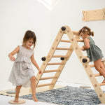 kids playing on the transformable pikler jungle gym