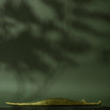 Wooden Gharial Crocodile
